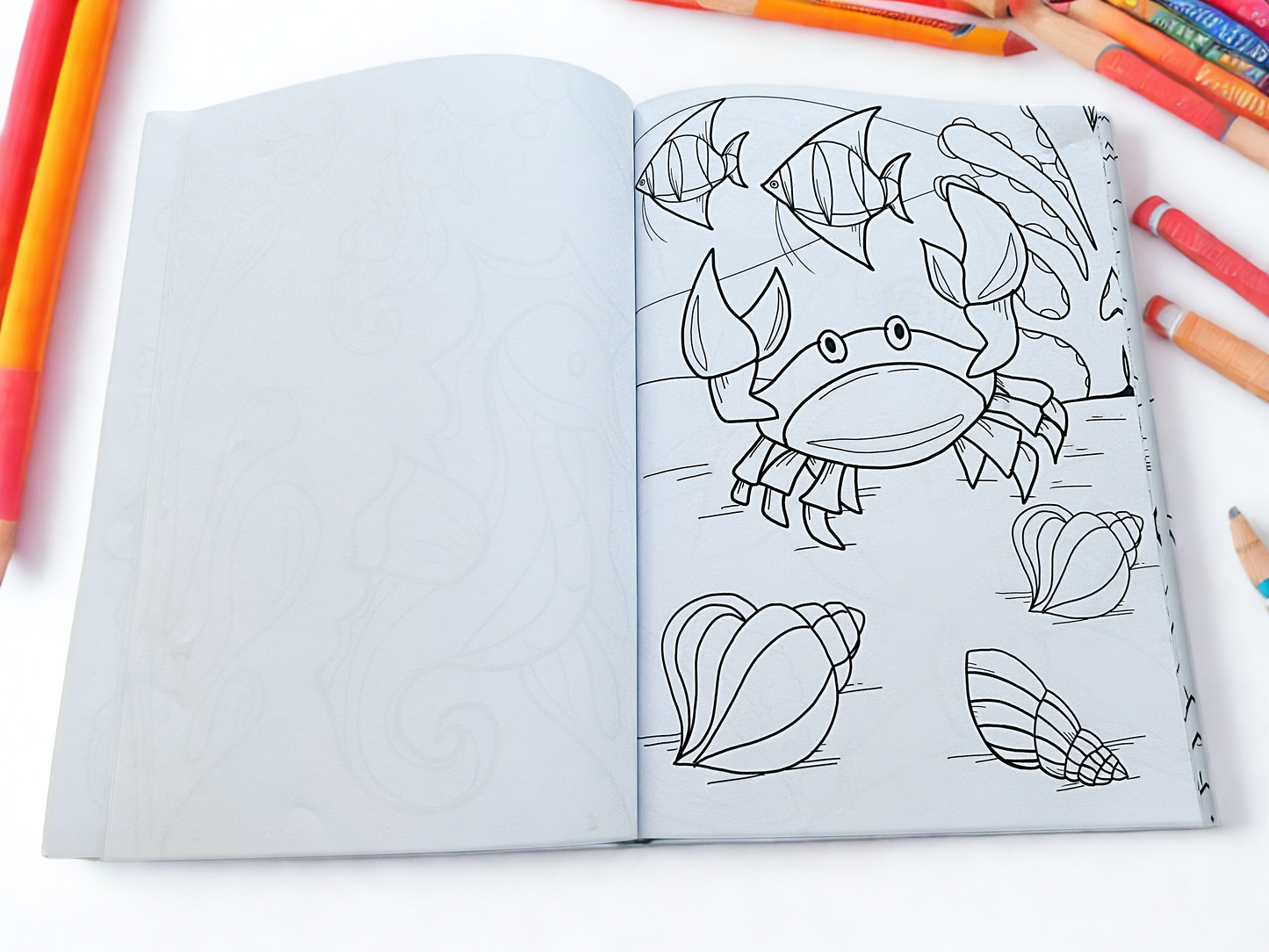 Animal Colouring Book