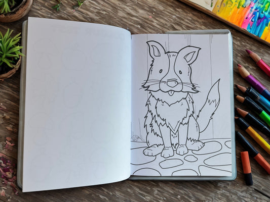 Animal Colouring Book