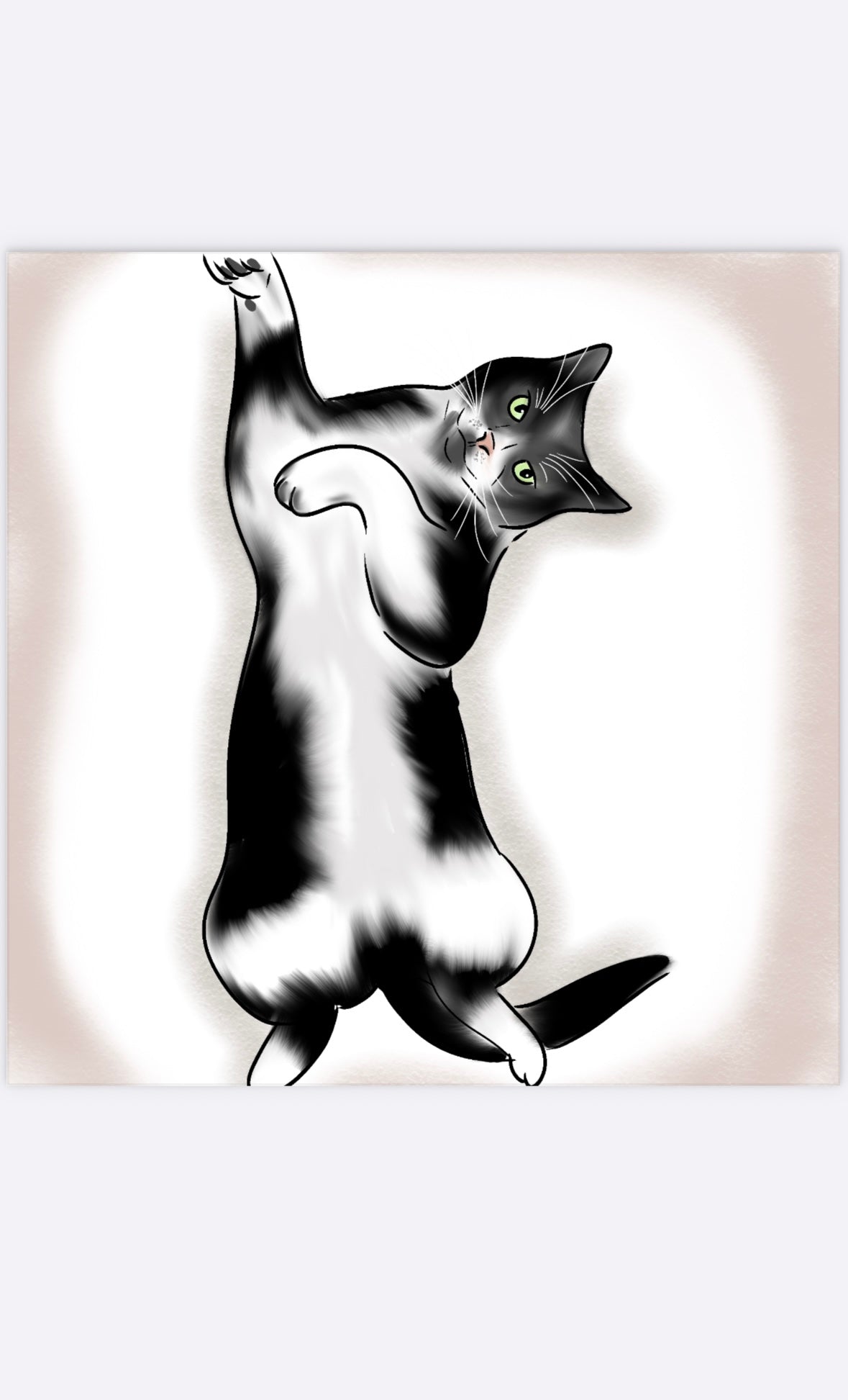 Pet Portraits