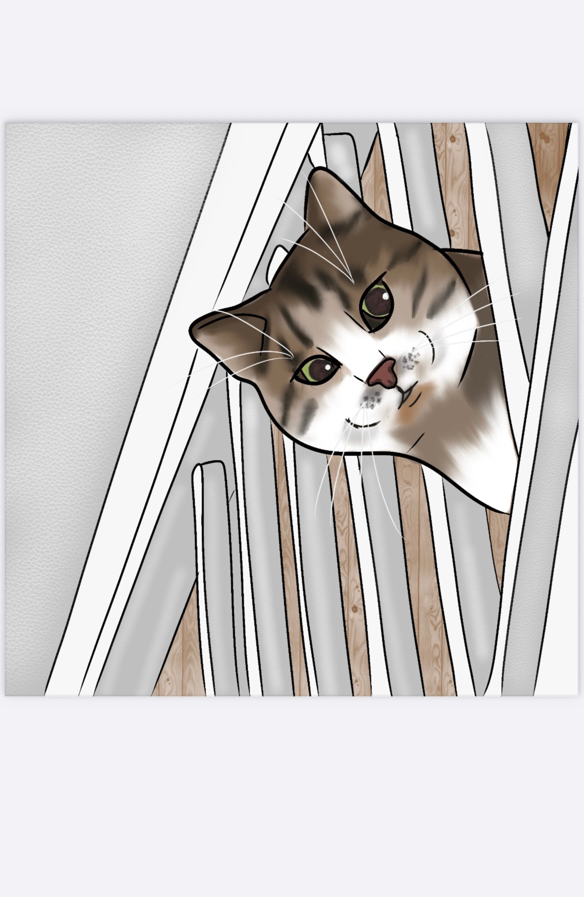 Pet Portraits