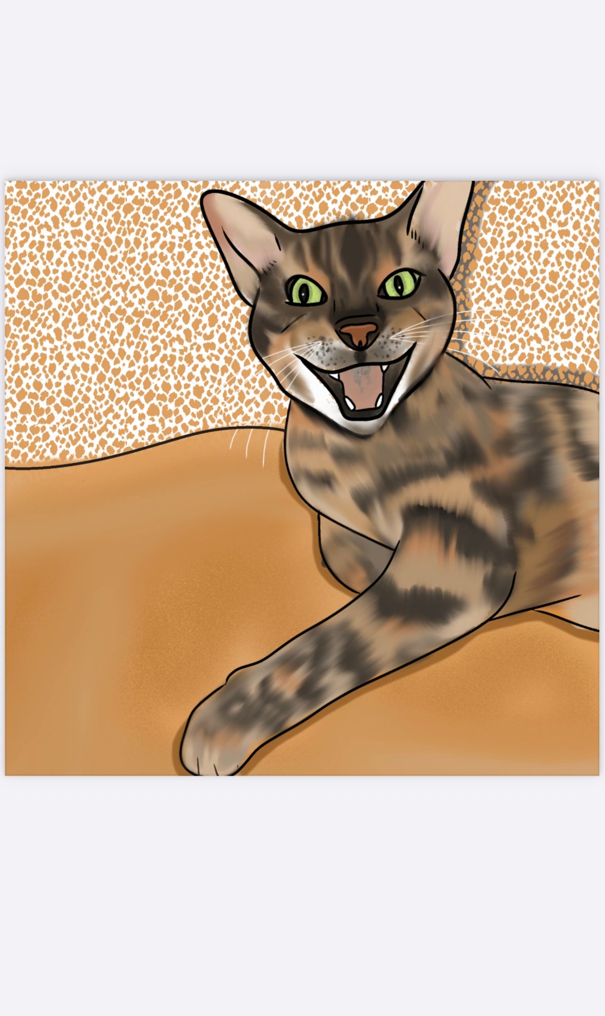 Pet Portraits