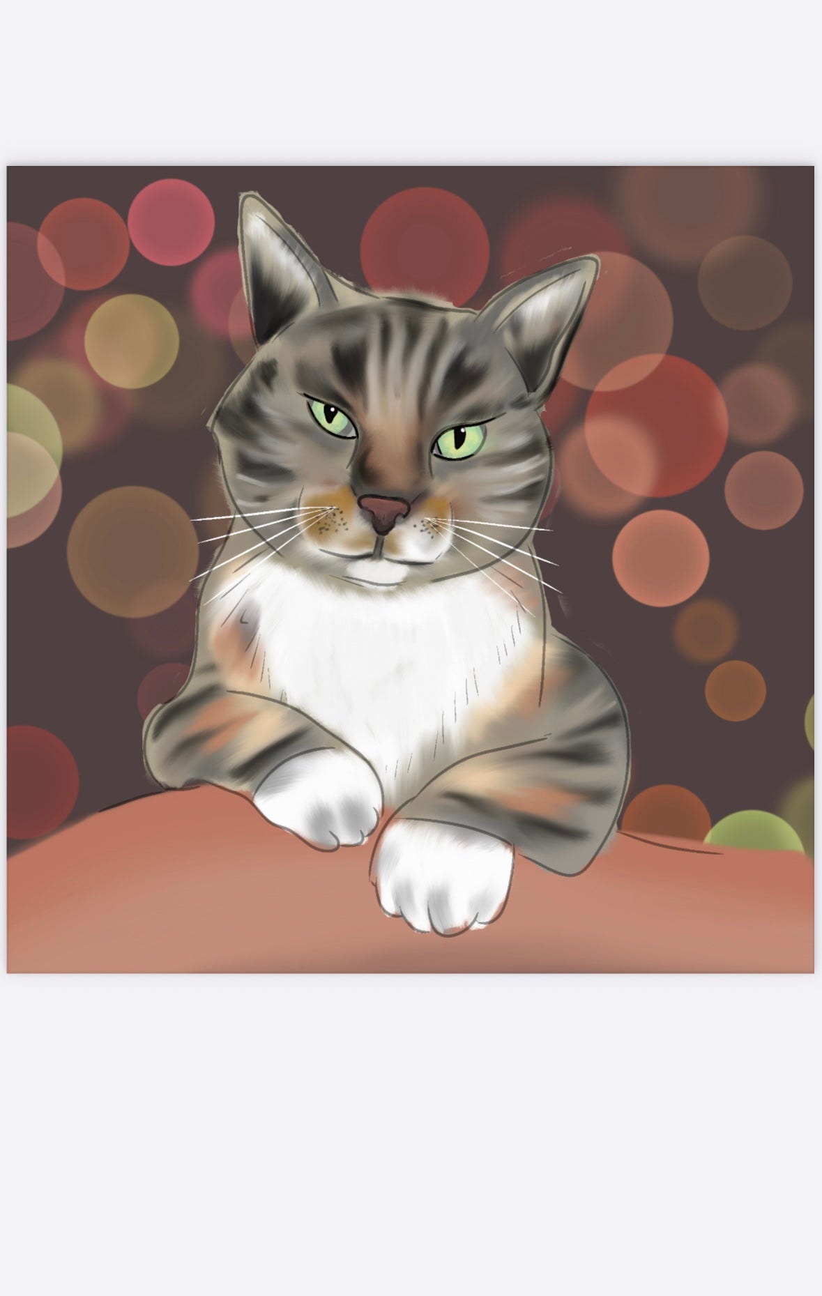 Pet Portraits