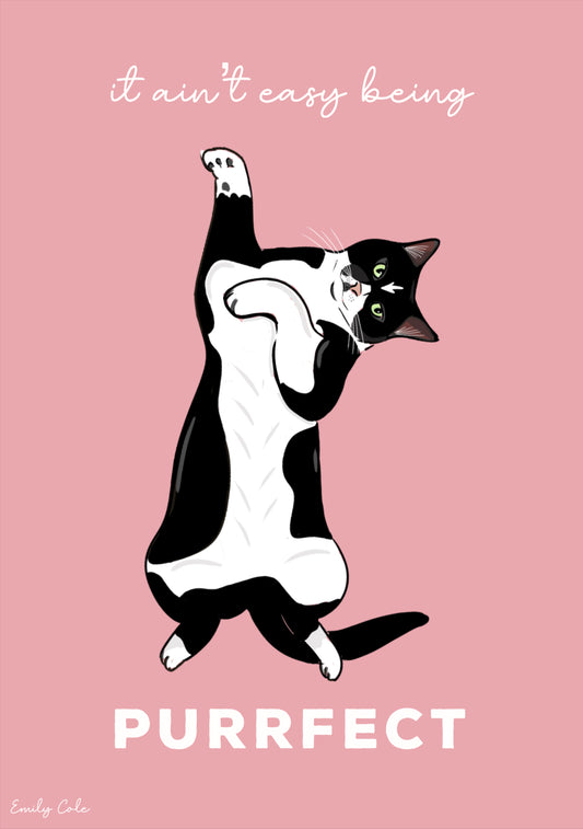 It Ain’t Easy Being Purrrfect Black And White Cat Digital Poster Print