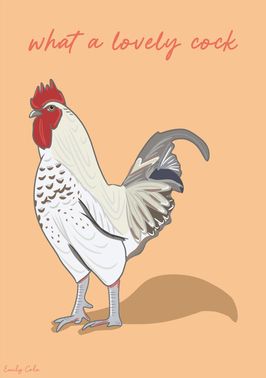What A Lovely Cock Cheeky Chicken Poster Print