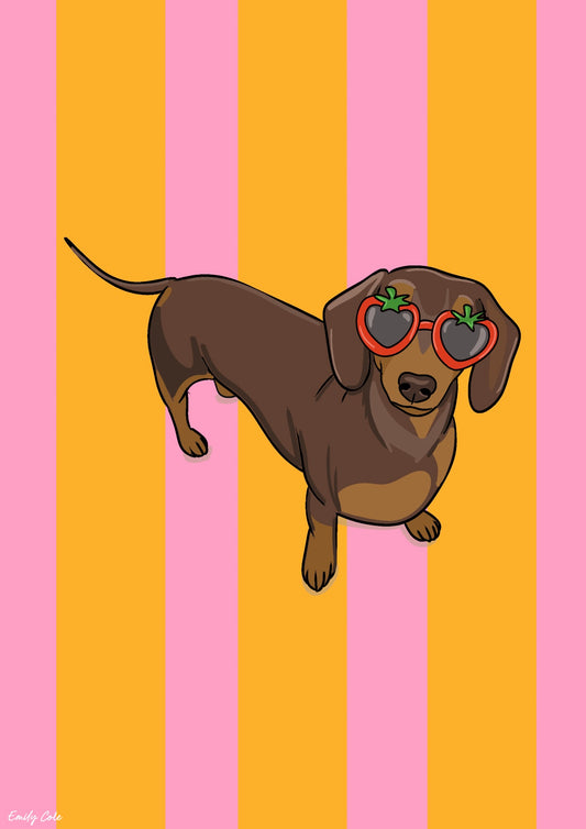 Bold Vibrant Striped Sausage Dog Lover Poster Print