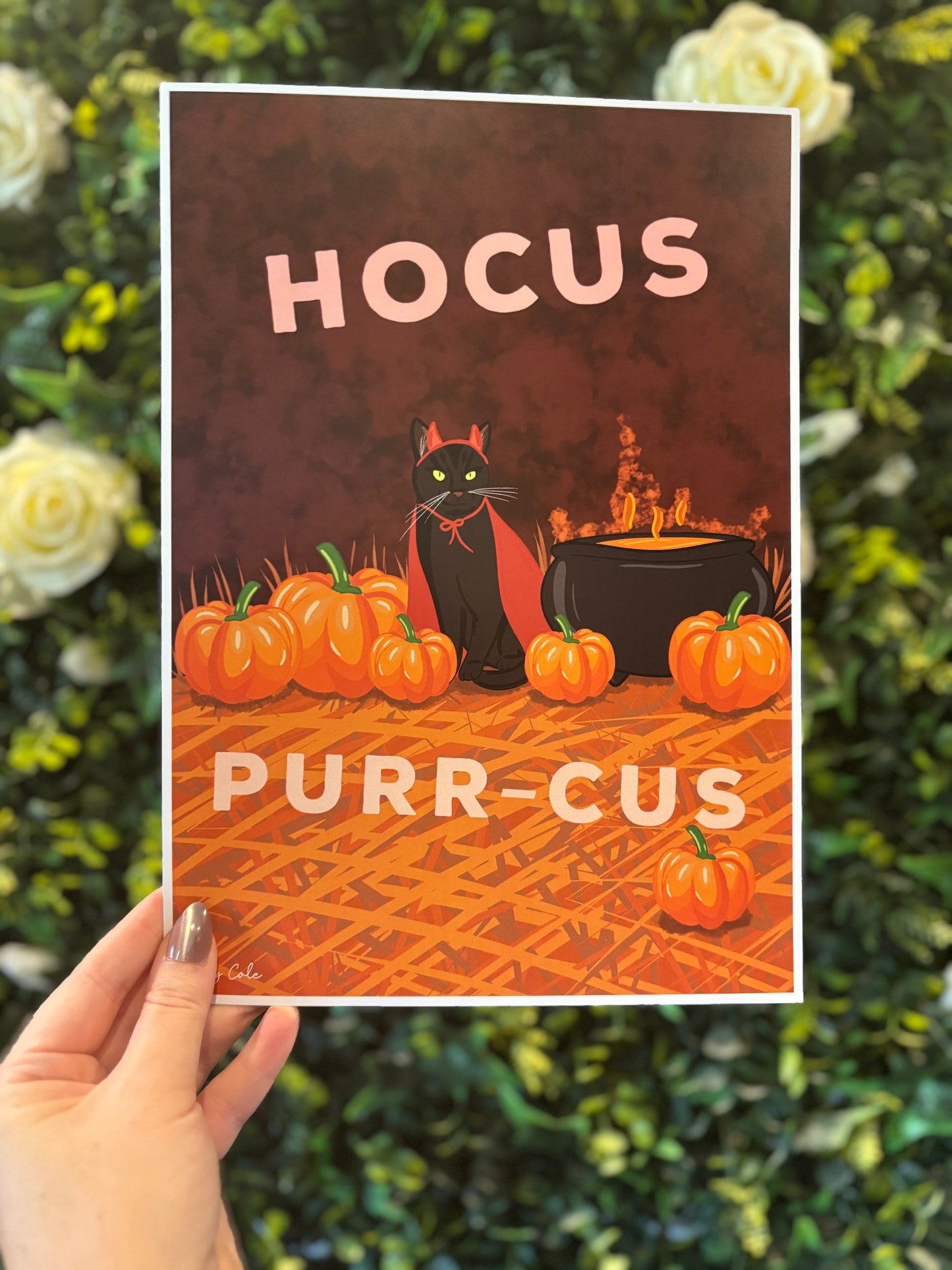 Hocus Purr-Cus Halloween Digital Black Cat Print