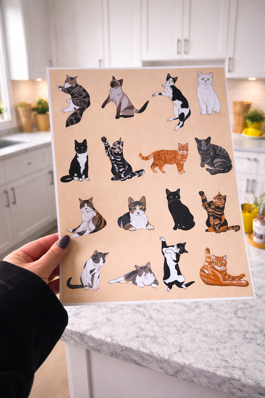 Assortment Of Cats Bold Multiple Cats Poster Print