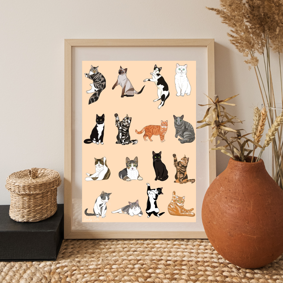 Assortment Of Cats Bold Multiple Cats Poster Print