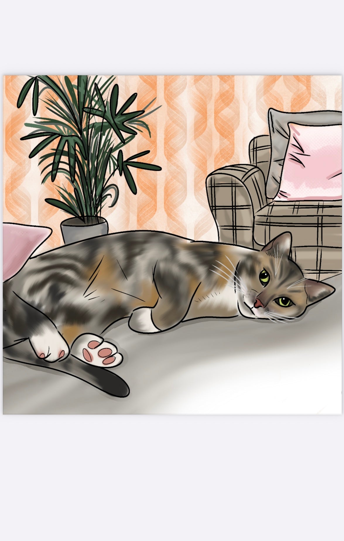 Pet Portraits