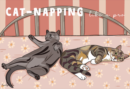 Cat Napping Like A Pro Cute Sleeping Cats Poster Print