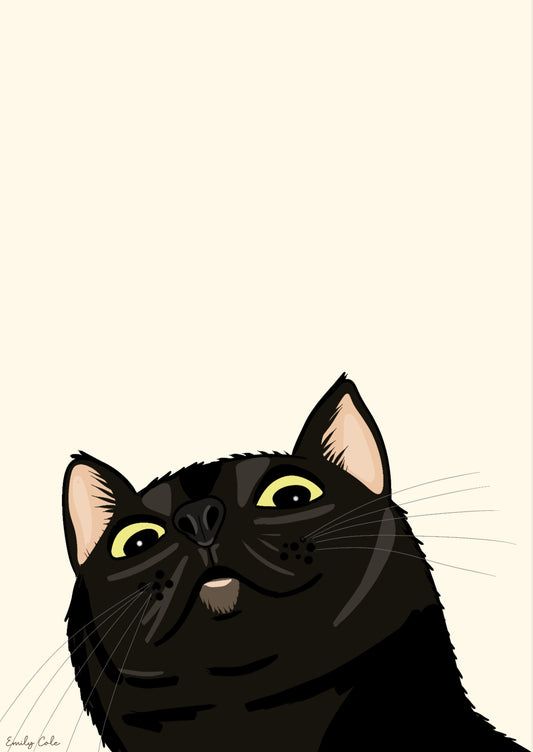 Black Cat Funny Mug Shot Poster Print