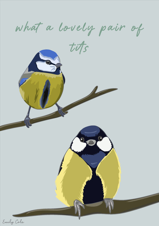 What A Lovely Pair Of Tits Funny Animal Lover Poster Print