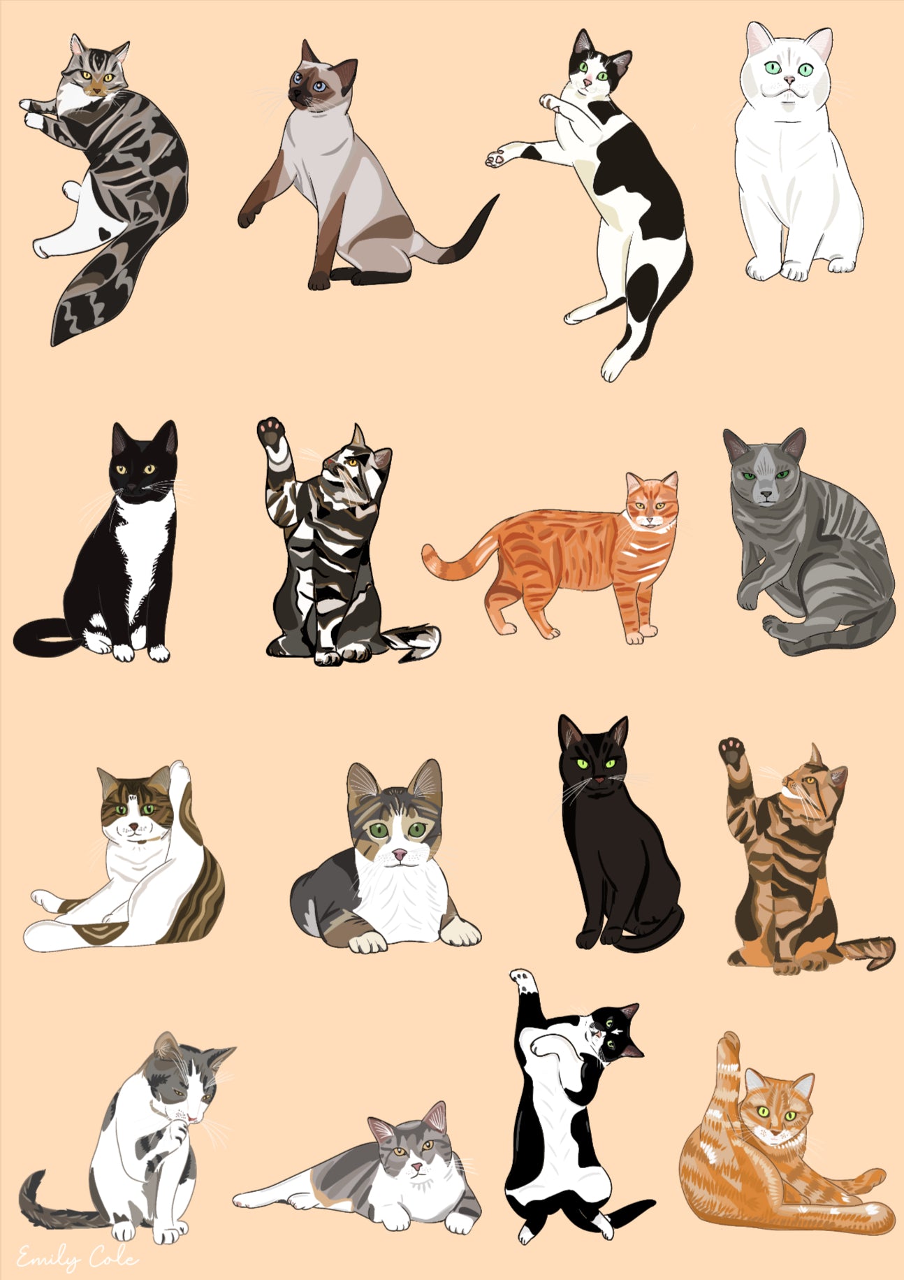 Assortment Of Cats Bold Multiple Cats Poster Print